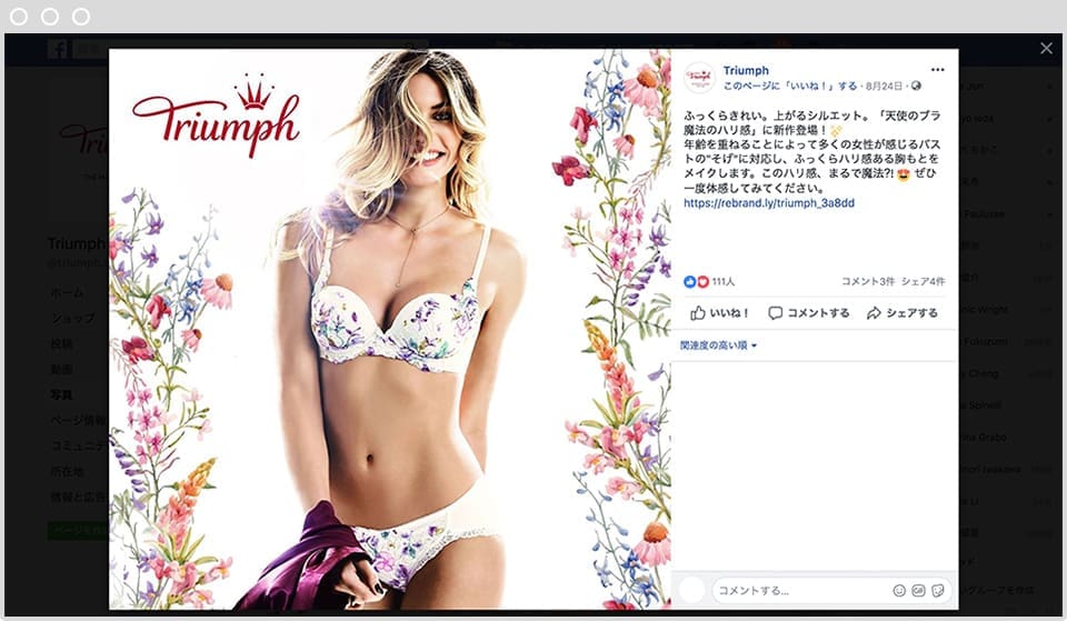 TRIUMPH Facebook