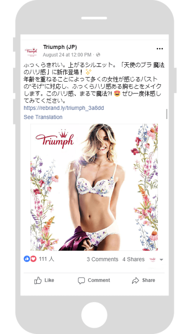 TRIUMPH Facebook